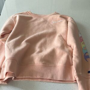 Champion sweatshirt